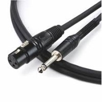 CABO P/MICROFONE XLR X P10 5M